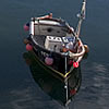 Newlyn harbour